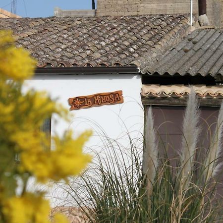La Mimosa Villa Carcastillo Exteriör bild