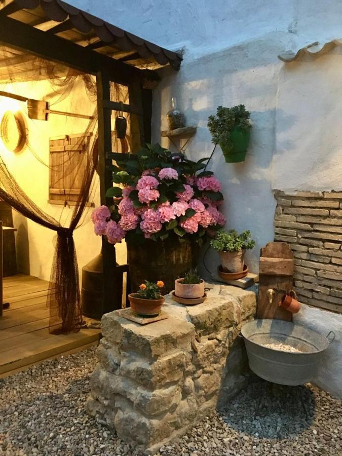 La Mimosa Villa Carcastillo Exteriör bild