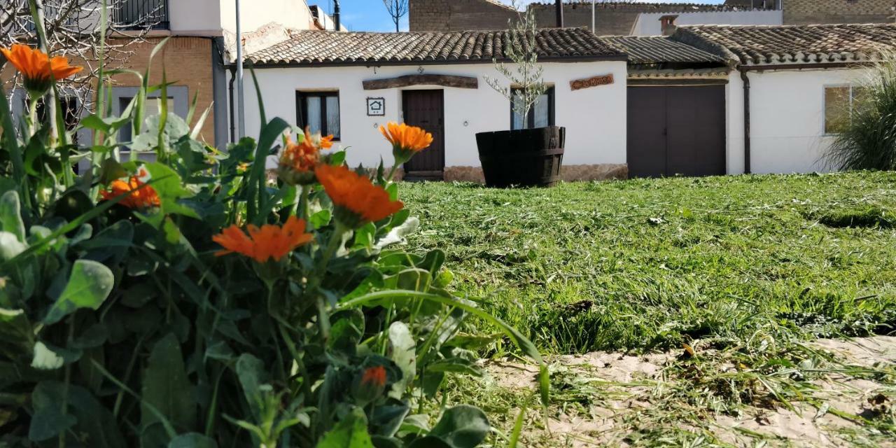 La Mimosa Villa Carcastillo Exteriör bild