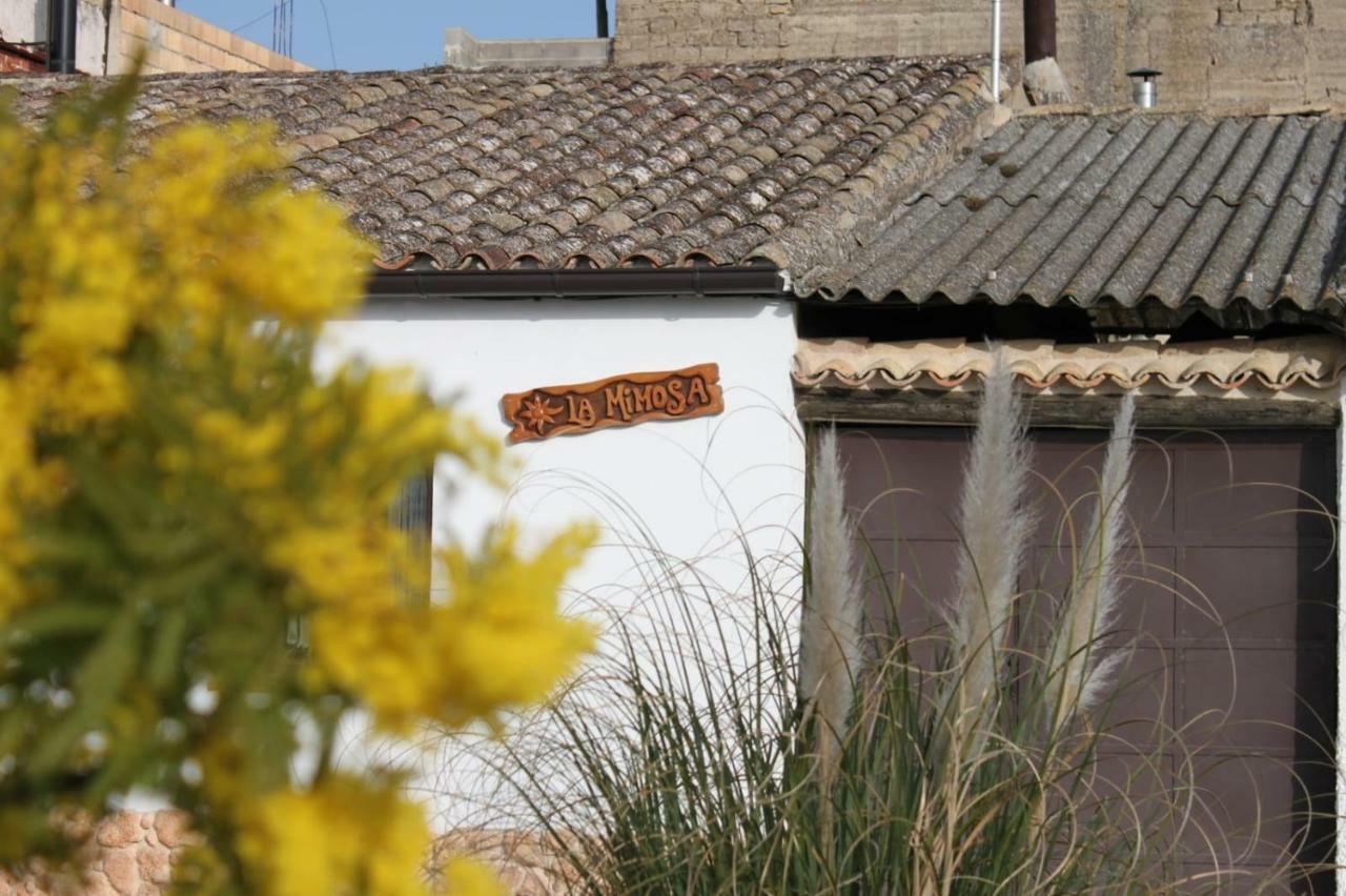 La Mimosa Villa Carcastillo Exteriör bild